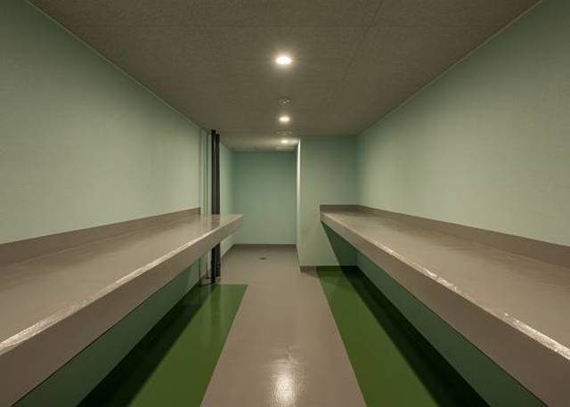 ガーラ・プレシャス東大島12階 その他共有部分