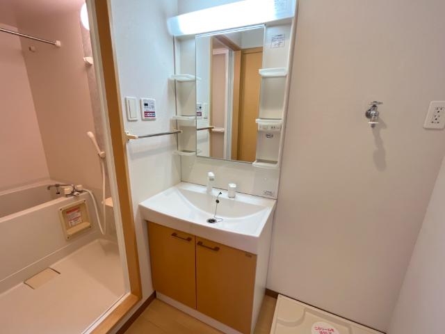 ルミナス206号室 洗髪洗面化粧台