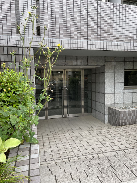 スカイコート新宿落合第6303号室 エントランス