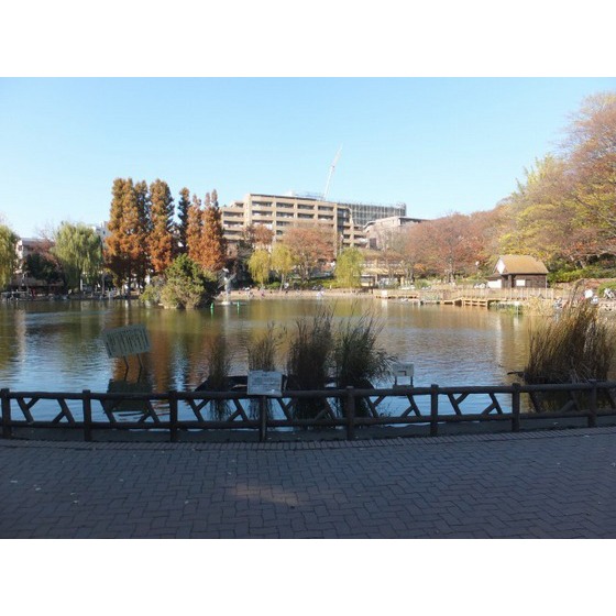 サンライズ 見次公園