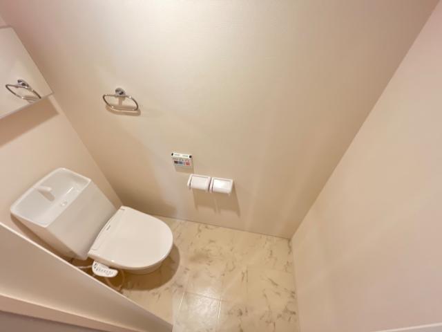 ヴェリテ昭島203号室 シャワー付トイレ（イメージ）