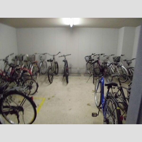 シャンティオン 駐輪場