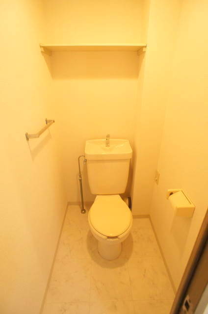 ルミエール若葉0104号室 トイレ