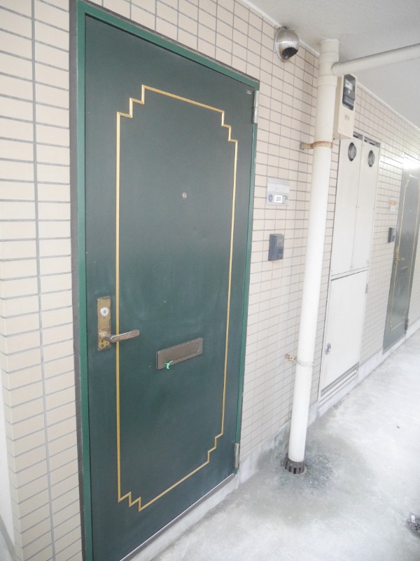 シャトレーヌ南加瀬 玄関