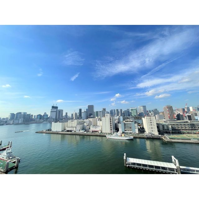 ＨＡＲＵＭＩ　ＦＬＡＧ　ＳＵＮ　ＶＩＬＬＡＧＥ　Ｃ棟1002号室 同建物別部屋の参考画像