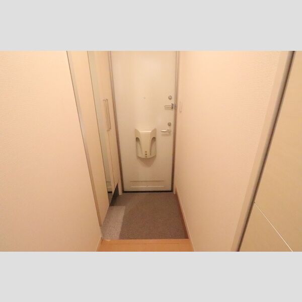 レセンテ南越谷 玄関