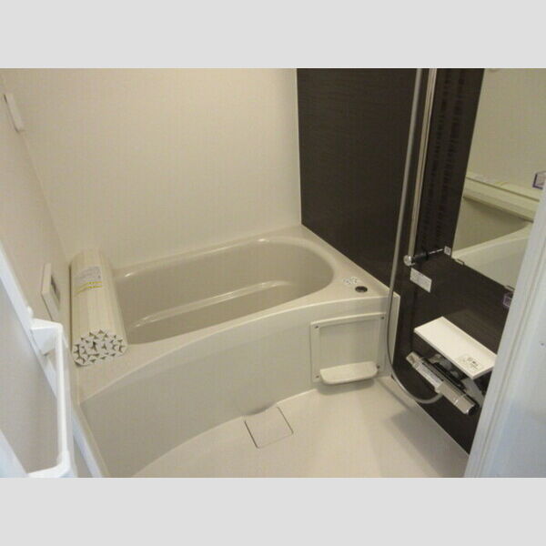 ロイジェントパークス錦糸町 浴室