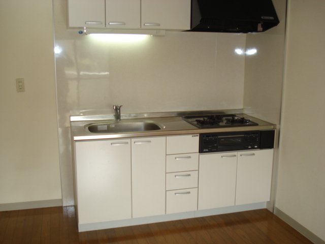 グリーンプレイス205号室 システムキッチン