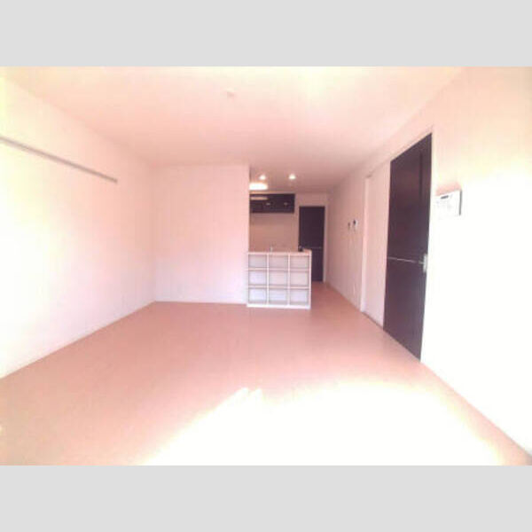 ヴェルドミールⅠ101号室 カウンター収納付のLDK