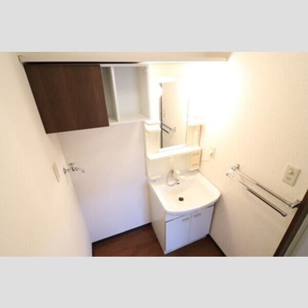 アネックス　C101号室 洗面室