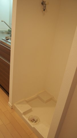 プラウドフラット白金高輪505号室 洗濯機置き場 ※参考写真