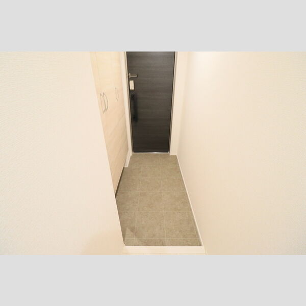 D Paina 中野島Ⅱ303号室 玄関