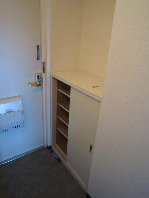 セシオン湘南0301号室 十分な収納スペースがあります