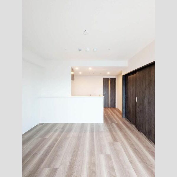 Alivis本郷三丁目302号室 玄関