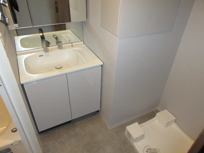 クリオラベルヴィ横濱サウス3階 洗面