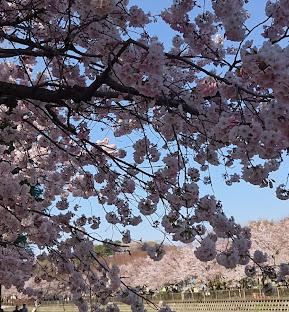 C‘est chouette(セ　シュエット) 狛江市立谷戸橋南広場まで450ｍ