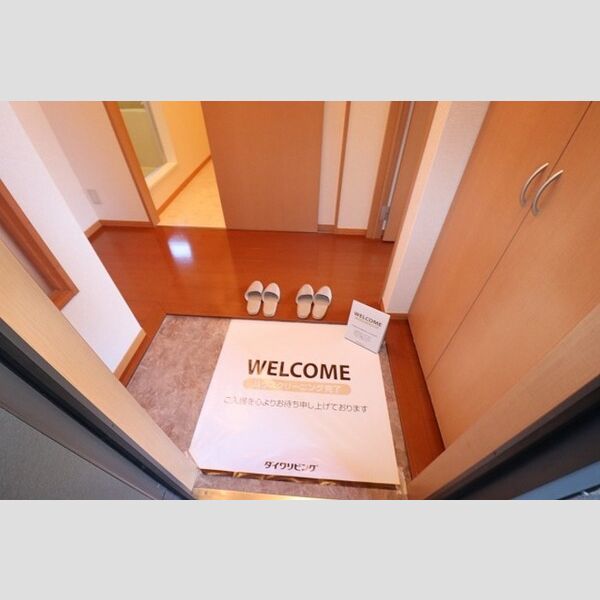 ドミール岩瀬 玄関　シューズボックス(トールタイプ)あり