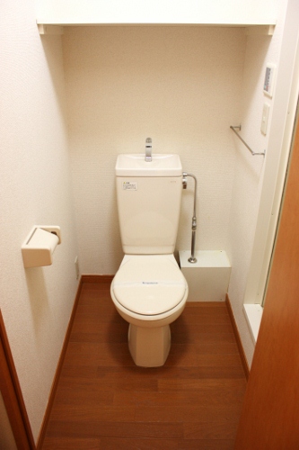 レオパレスエターナル203号室 ロフト