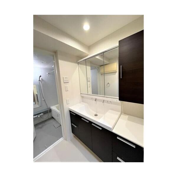 ルベールデュソレイユ406号室 洗面