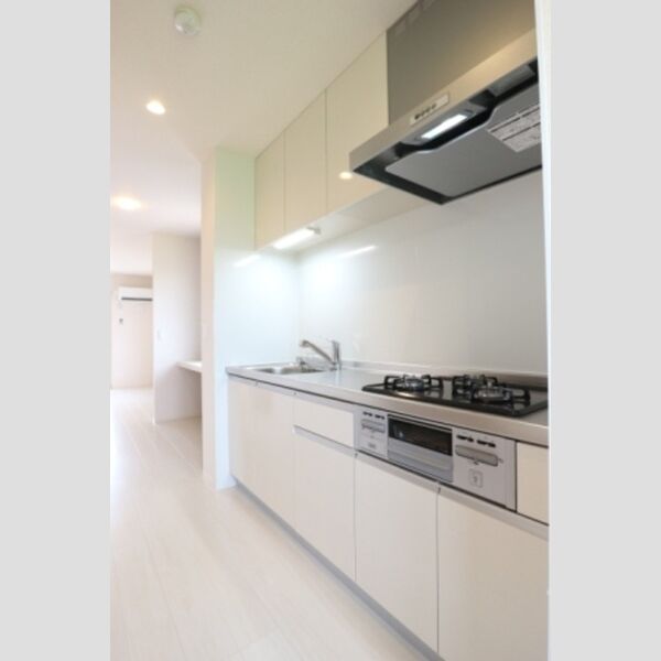 メゾン・ド・TJ2 101号室 システムキッチン