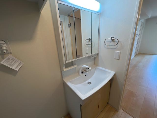 メゾン・ド・アロハ（Maison・de・Aloha）202号室 洗髪洗面化粧台（イメージ）