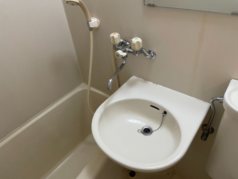 メゾンフローラ 洗面