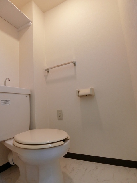 ドルチェ武蔵野0304号室 トイレ