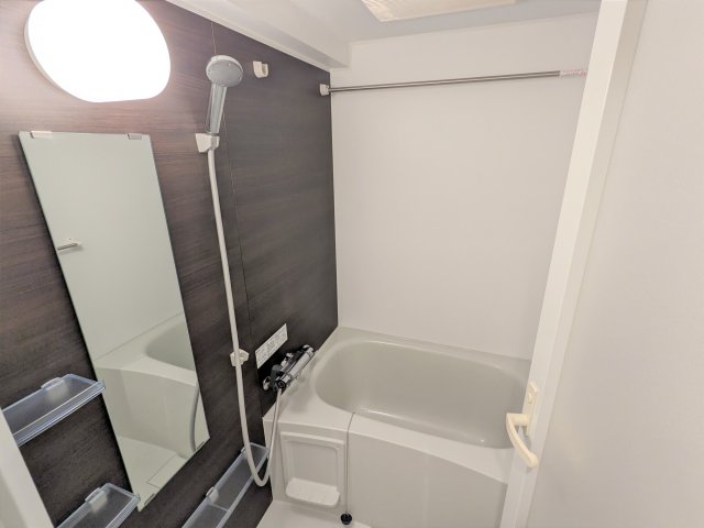 ケーディーエックスレジデンス豊洲419号室 お風呂