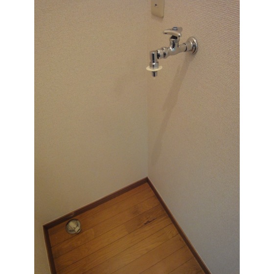 ウィステリア代々木0103号室 室内洗濯機置場