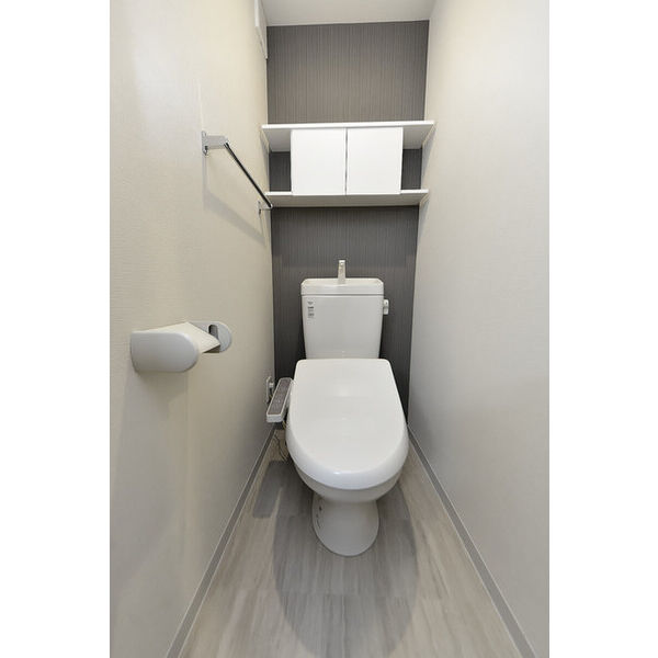 クリオ　ラモード学芸大学Ⅱ0205号室 トイレ