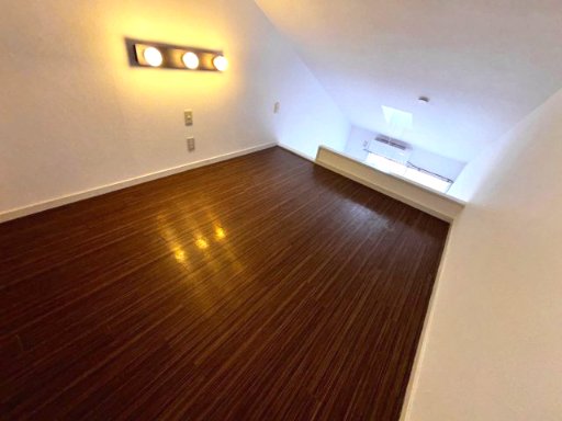 リエス稲田堤206号室 内観