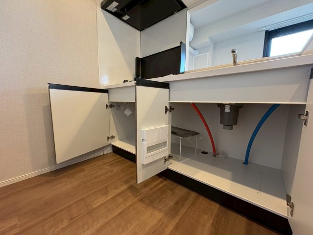 DIPS西新井202号室 収納