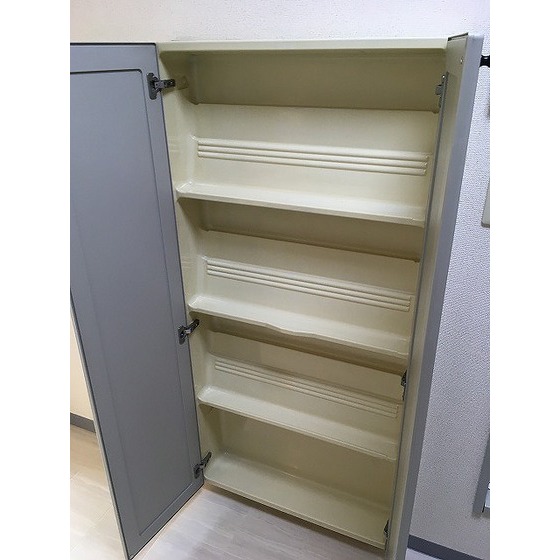 東新小岩パールハイツ0202号室 シューズボックス