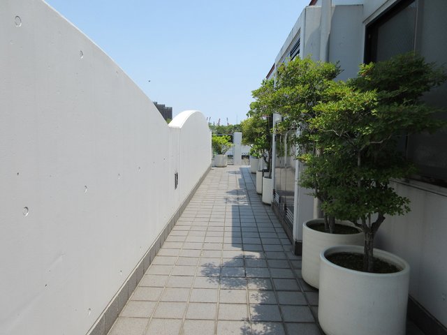 橋本ビル0301号室 ３階共用部　※現況優先