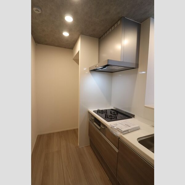 ムーンダスト美園105号室 システムキッチン