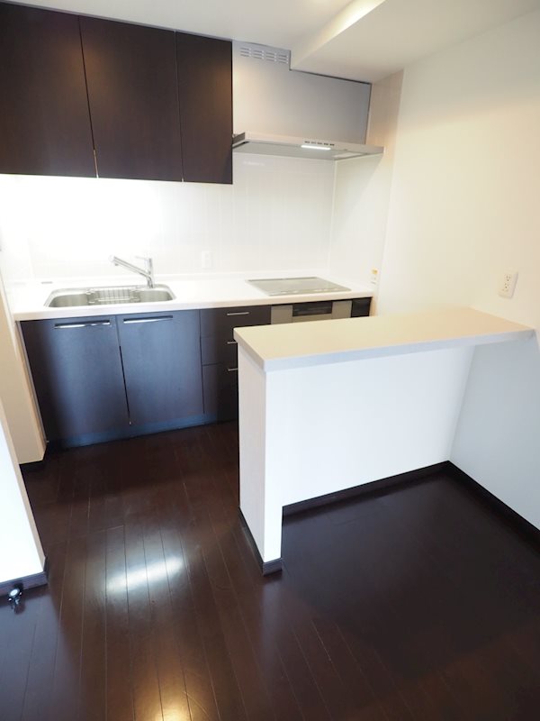 パークフラッツ市谷台町坂2階 キッチン