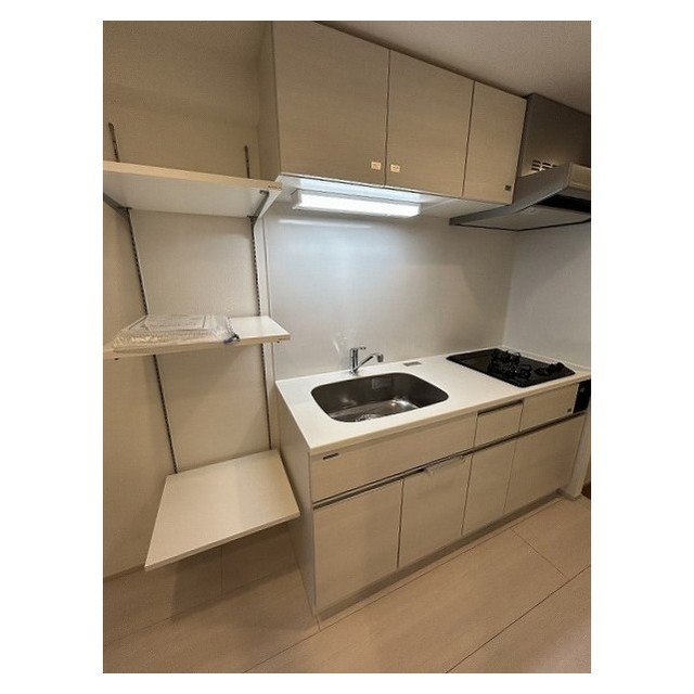 B CITY APARTMENT ITABASHI NORT0406号室 キッチン