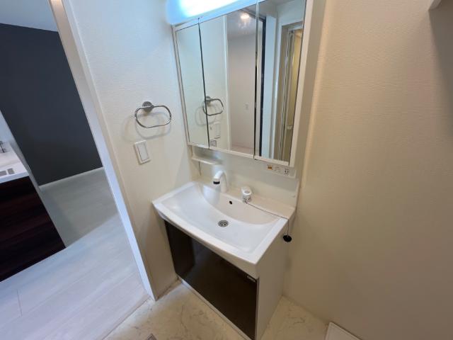 ラフェリア 洗髪洗面化粧台