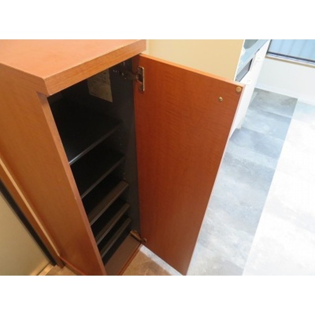 ダイヤモンドレジデンス西日暮里第三0403号室 シューズボックス