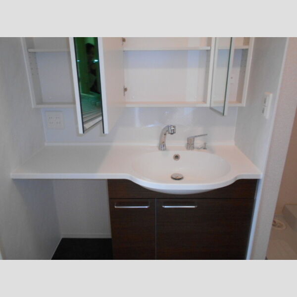 モン　プレジール203号室 洗髪洗面化粧台