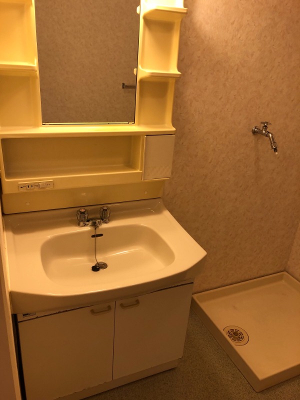 ハイリード・セイフウ8階 洗面