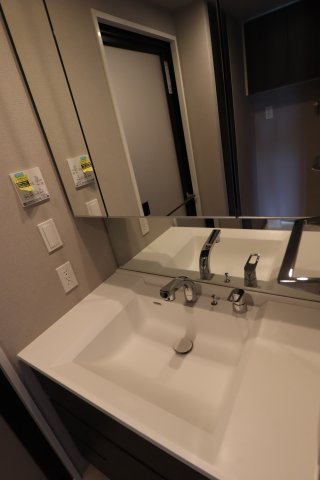 GENOVIA赤羽0513号室 洗面