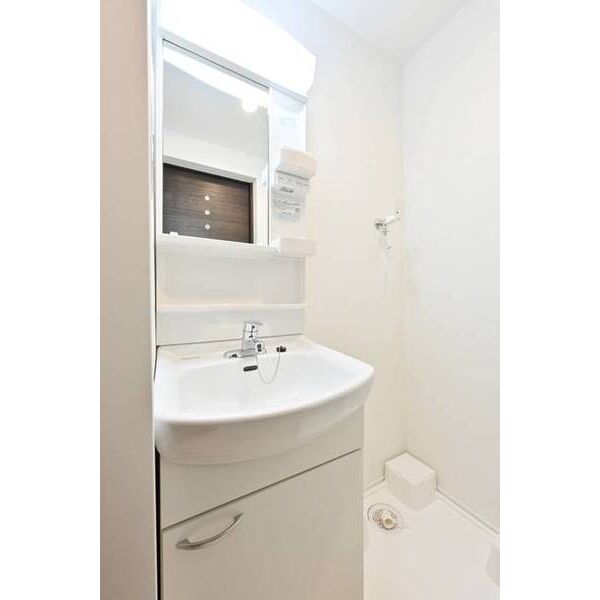 ベルグランデ吉野町0203号室 洗面
