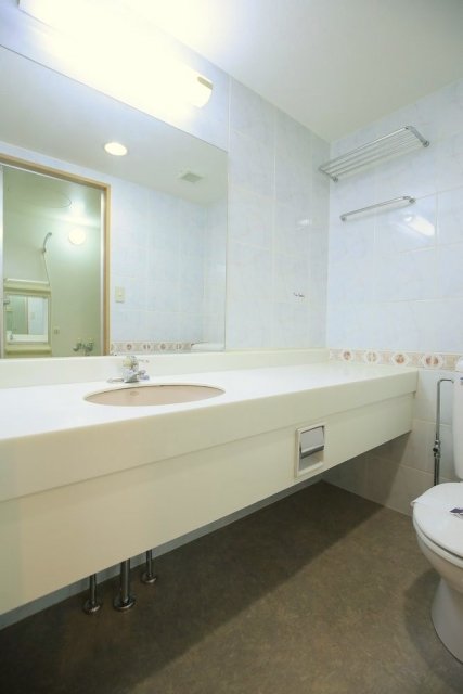 ガーデンクレスト１７１４3階 洗面