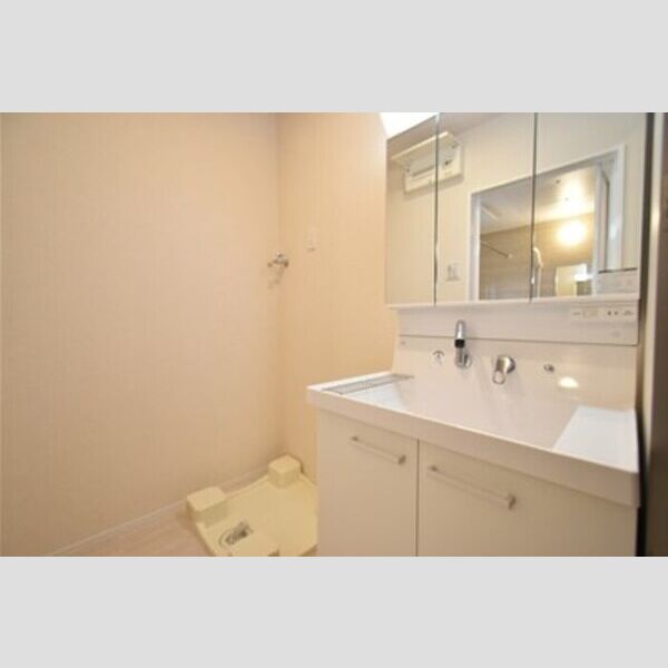 D-room塚原戸建　A棟101号室 洗面室