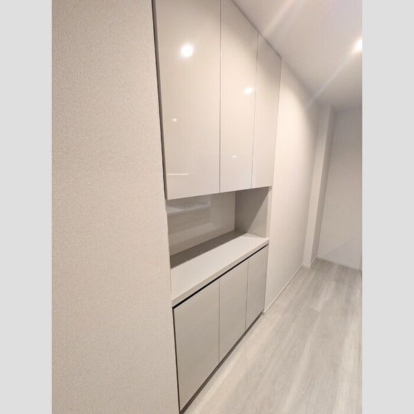 カスタリア高輪 キッチン　収納