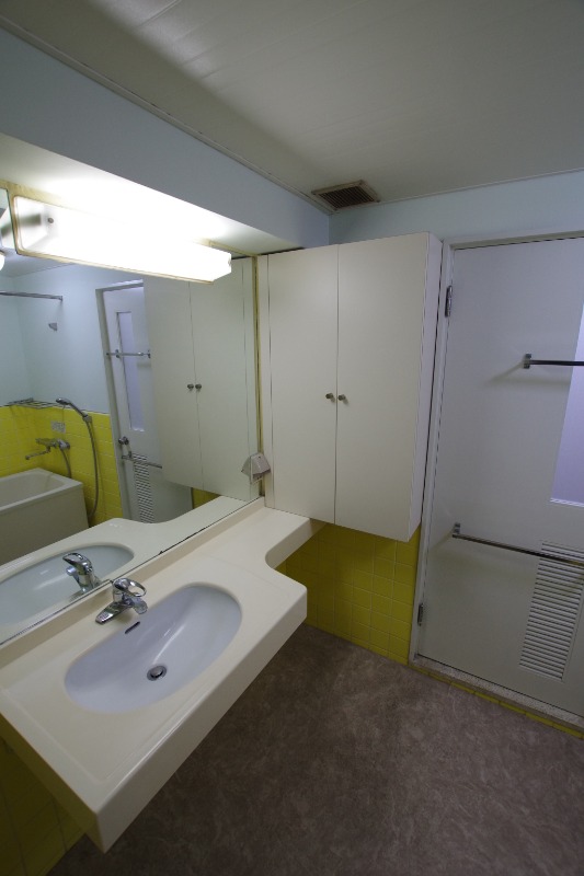 秀和神宮レジデンス 洗面