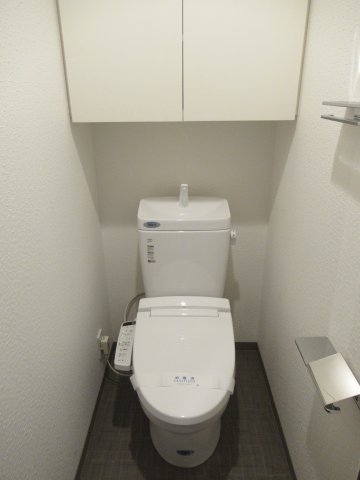 DIPS東十条802号室 トイレ