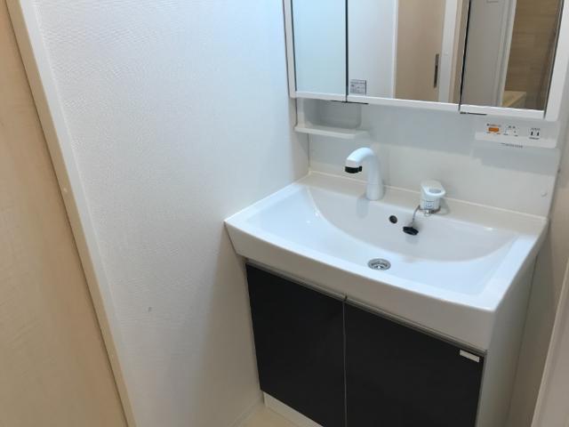 ブルックビルガーデンズⅢ 洗髪洗面化粧台