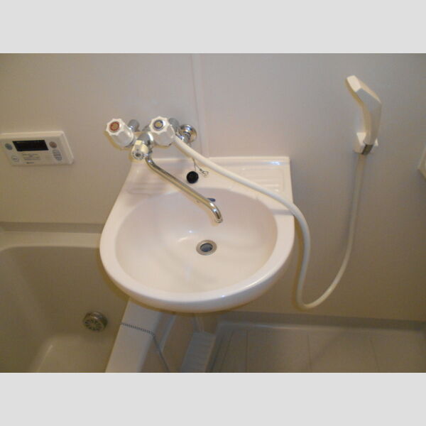 アルカディア越谷203号室 洗面ボウル